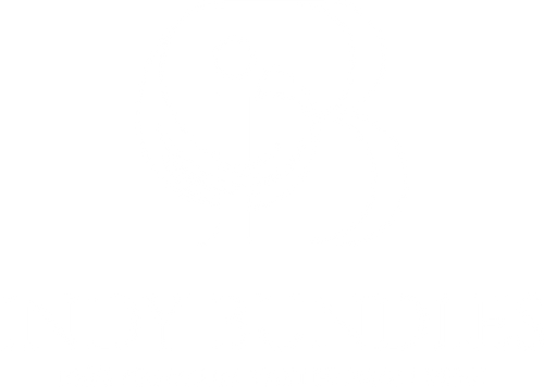 Indy Bundles